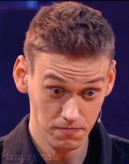 😳 597a99be improcats person, man, improcats, face, portrait telegram sticker