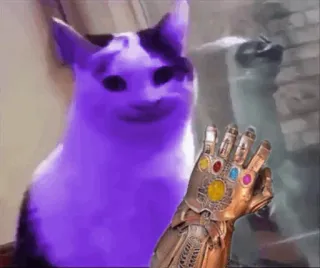 💜 50954bbb kucing, sarung tangan, meme, lucu, marvel, thanos whatsapp sticker