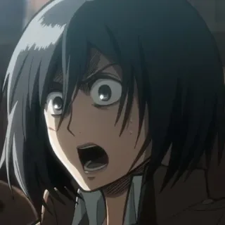 🙂 5de10735 Mikasa Ackerman Attack on Titan Anime, L'attacco dei giganti, Mikasa, Scioccata, Personaggio, Animazione, Serie TV telegram sticker