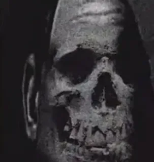 😐 7d28027c czaszka, szkielet, śmierć, mroczny, makabryczny telegram sticker