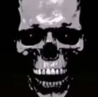 😐 841641a3 czaszka, szkielet, straszny, horror, kości, śmierć, Halloween telegram sticker