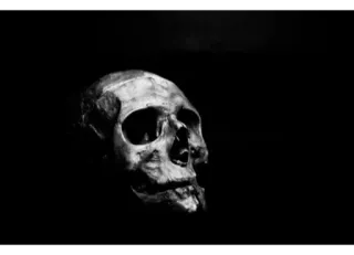 😐 8cd8bec4 czaszka, śmierć, szkielet, anatomia, straszny, horror telegram sticker