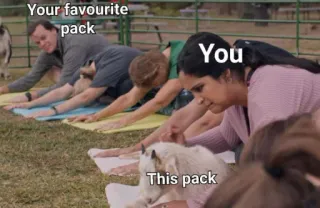 🥶 2883ad65 Your favourite pack
You
This pack meme, pack, goats, yoga, funny, humor telegram sticker