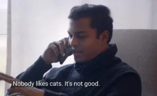 😾 4c0c4a6a Nobody likes cats. It's not good. cat, dislike, opinion, conversation, talking, person, phone telegram sticker