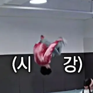 🦦 4857fd71 (시강) person, flipping, gymnastics, text, korean whatsapp sticker