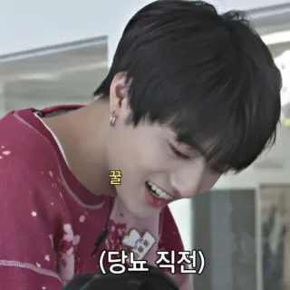 🦦 c3da53d4 꿀
(당뇨 직전) korean, text, smile, person whatsapp sticker