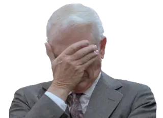 🙈 e2102e35 facepalm, disappointment, frustration, reaction, meme, failure, regret, gesture telegram sticker