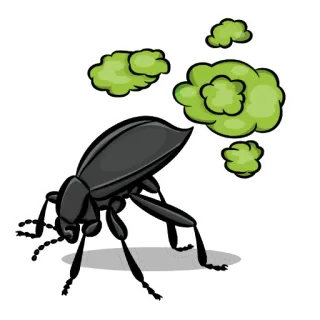 insectariumRUS telegram stickers
