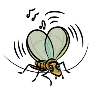 🎶 63754e74 苍蝇, 昆虫, 卡通, 翅膀, 虫子, 动物 telegram sticker