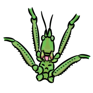 👻 76225195 昆虫, 蚱蜢, 绿色, 虫子, 动物, 卡通 telegram sticker