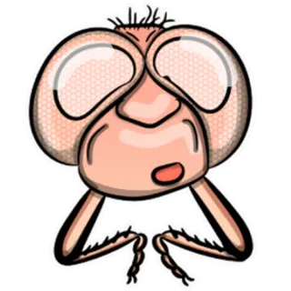 😮 b8b4ceb0 虫子, 昆虫, 卡通, 苍蝇, 可爱, 搞笑, 动物 telegram sticker