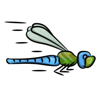 🏃‍♂️ e3a77d67 蜻蜓, 昆虫, 虫子, 飞行, 自然, 动物, 卡通 telegram sticker