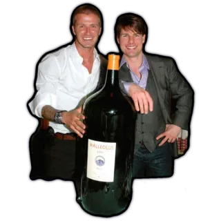 @Inshaker_Russia telegram stickers