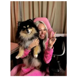 😉 f18a2bfb kobieta, pies, znak pokoju, krzesło, uśmiech, zwierzę, zwierzę domowe telegram sticker