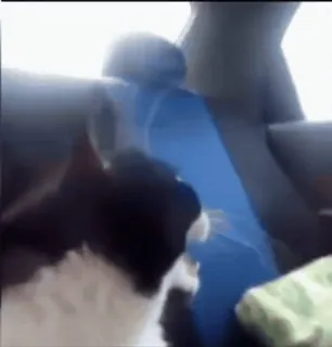 😊 fe96809f whatsapp sticker