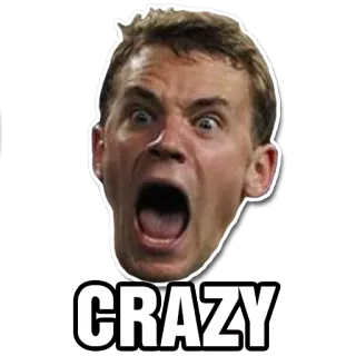 😨 4a97d113 CRAZY gila, wajah, berteriak, lucu, ekspresi telegram sticker