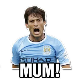 😭 b1d97dab MUM! sepak bola, berteriak, olahraga, pemain, pesepakbola telegram sticker