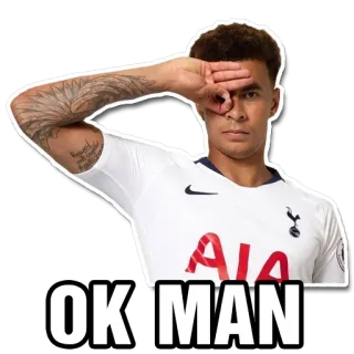 😉 bf02bdee OK MAN pria, ok, gestur, orang, tangan, putih telegram sticker