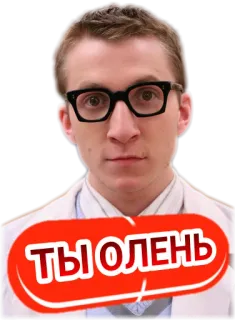 🙈 cb23e1a5 Ты ОЛЕНЬ 俄语, 侮辱 telegram sticker