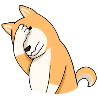 ✋ 3011bf70 Hund, Shiba Inu, Facepalm, verlegen, enttäuscht, Meme, Doge telegram sticker