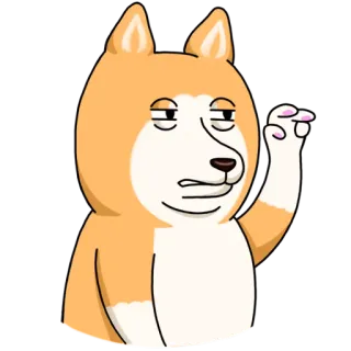 👀 f768b174 Hund, Shiba Inu, Tier, Cartoon, lustig, Meme, arrogant, sarkastisch telegram sticker