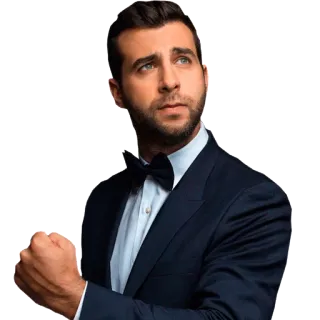 💪 f4d02bd9 hombre, traje, pajarita, retrato whatsapp sticker