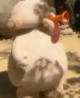 🎁 d148f562 telegram sticker