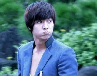 🌿🌸 Lee Min Ho 🌸🌿 telegram stickers