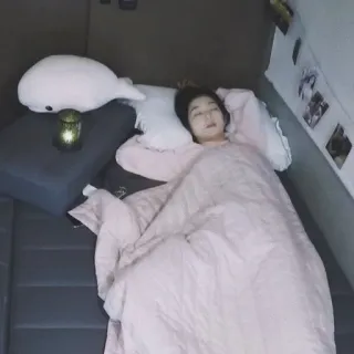 😴 8f517799 schlafen, Frau, Bett, Schlafzimmer, gemütlich, Kissen, Decke telegram sticker