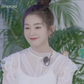 Irene Pack | @TIKELCANTUY telegram stickers