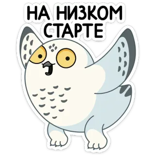 🏃 b0568726 НА НИЗКОМ СТАРТЕ búho, pájaro, dibujo animado, animal, pegatina, gracioso telegram sticker