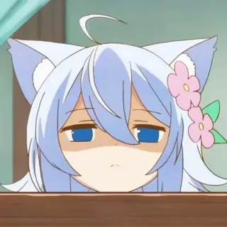 🐿 01ee1fe2 Anime, Chica gato, Kawaii, Lindo telegram sticker