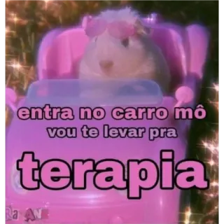 🙂 a9d134be entra no carro mô vou te levar pra terapia Cavia, Auto, Terapia, Divertente, Meme, Carino, Animale telegram sticker