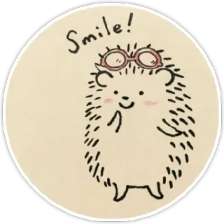 😃 3715221d Smile! schattig, egel, dier, bril, kawaii telegram sticker
