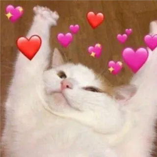 🎀 d4921b4a chat, amour, coeurs, mignon, affection, sain, adorable telegram sticker