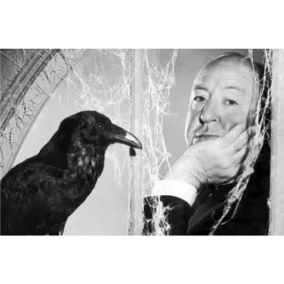 😒 3c9222eb Alfred Hitchcock The Birds Alfred Hitchcock, réalisateur, corbeau, oiseau, toile d'araignée, noir et blanc, film, cinéma whatsapp sticker