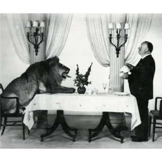 😶 97247047 lion, serveur, dîner, table, animal, vintage, formel whatsapp sticker