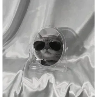 🐈 cfe1f6e6 Katze, Sonnenbrille, Spiegel, Haustier, Tier, coole Katze telegram sticker