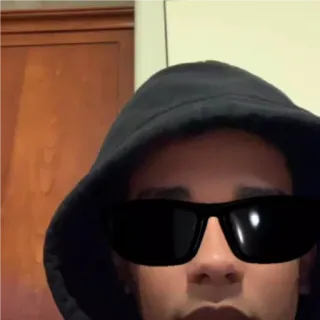 😎 d9c9a206 pessoa, óculos de sol, moletom com capuz, homem, retrato telegram sticker