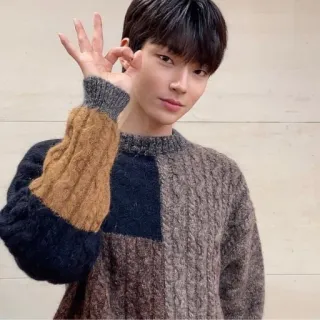 👌 1a29e094 男人, 毛衣, 韩国, 亚洲, 帅哥, 人, 名人 telegram sticker