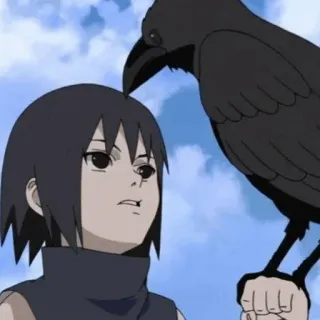 🎼 d8f525d6 Itachi Uchiha Naruto itachi, uchiha, anime, naruto, cuervo, manga, ninja whatsapp sticker