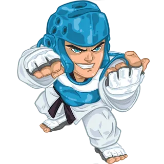 😏 4cabbd9d artes marciales, luchador, deportes, taekwondo, combate telegram sticker