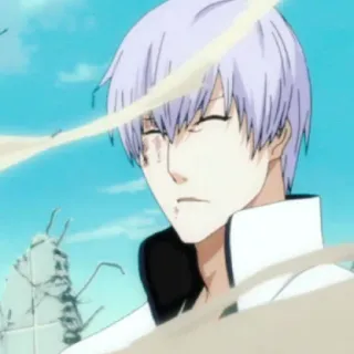 🐍 62f4247a telegram sticker