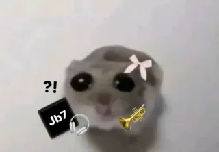 🥺 846badbb ?! Jb7 햄스터, 트럼펫, 헤드폰, 물음표, 음악 telegram sticker
