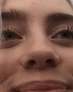 ✨ 52d37614 telegram sticker