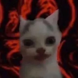 😐 265b6759 chat, animal, animal de compagnie, mème, drôle telegram sticker