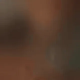 🎈 509d6766 telegram sticker