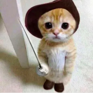 😟 0ec2ade1 Puss in Boots gatto, gattino, il gatto con gli stivali, spada, animale, carino telegram sticker