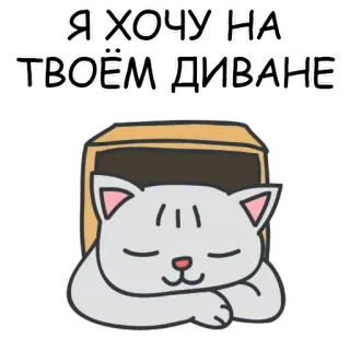 😆 42eb2ace Я ХОЧУ НА ТВОЁМ ДИВАНЕ 고양이, 소파, 스티커, 귀여운, 게으른, 졸린 telegram sticker