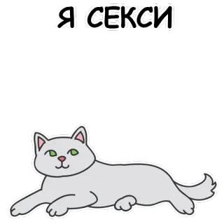🐱 46b2c44f Я СЕКСИ 고양이, 섹시, 동물, 러시아어 텍스트, 애완동물 telegram sticker
